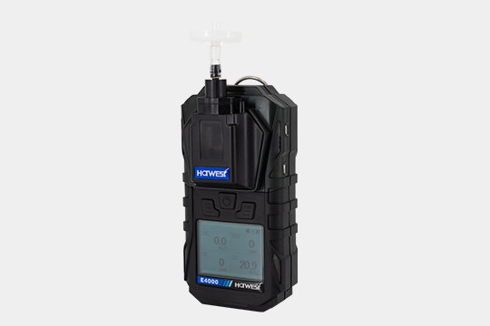 Which Gas Detector can Detect Multiple Gases?